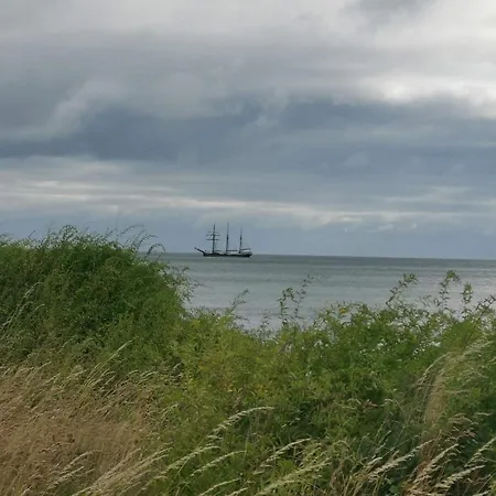 4 Star In Humble-by Traum Humble