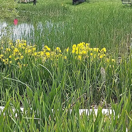 4 Star In Humble-by Traum Holiday home