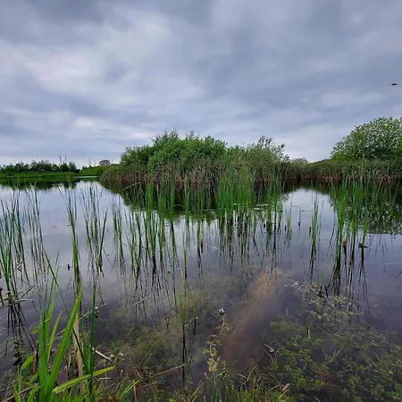 4 Star In Humble-by Traum * Humble