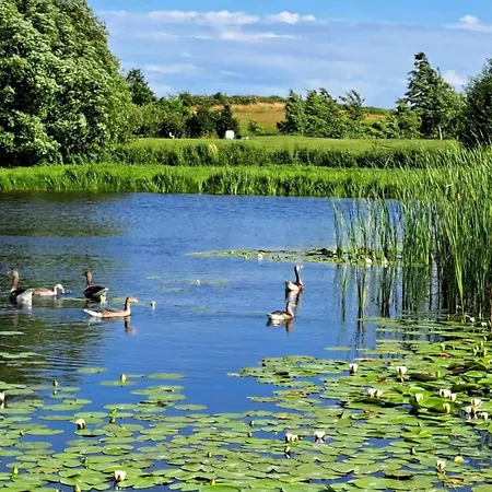 Holiday home 4 Star In Humble-by Traum *