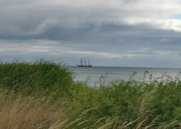 4 Star In Humble-by Traum Humble