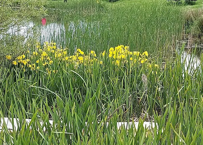 4 Star In Humble-by Traum Holiday home