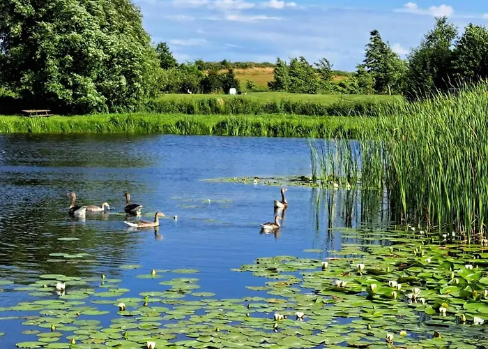 Holiday home 4 Star In Humble-by Traum *