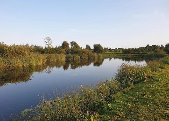 4 Star In Humble-by Traum * Humble